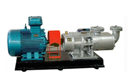 2GaRT-系列高溫粘膠輸送泵產品圖1