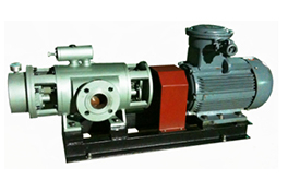 2GbS-系列雙螺桿泵產品圖6